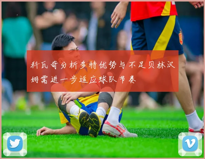 科瓦奇分析多特优势与不足贝林汉姆需进一步适应球队节奏